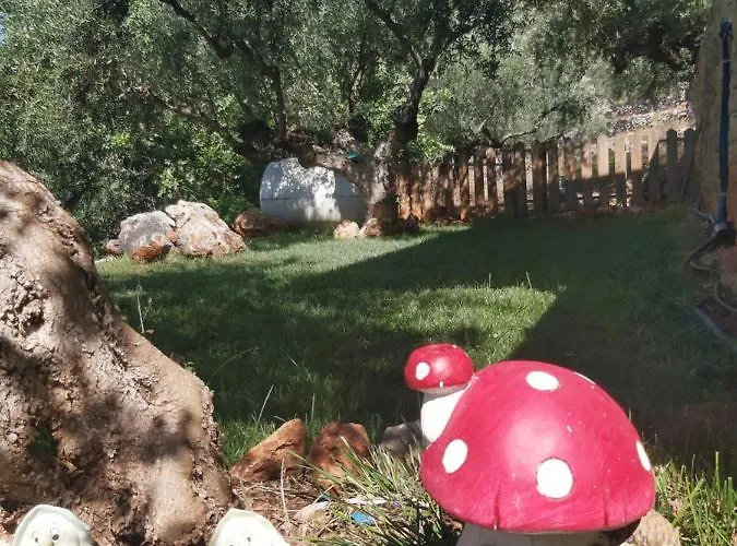 Riza * קרדמילי